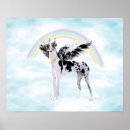 Suche nach däne poster Hunde