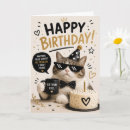 Suche nach coole katze Katzenliebhaber