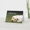 Suche nach vermisstes u Hund