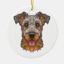 Suche nach airedale terrier ornamente Hund