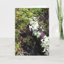 Suche nach versteckt karten Wald