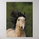 Suche nach headshot poster Tier