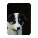 Suche nach woche magnete Foto