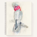 Suche nach cockatoo Tropischer