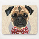 Suche nach pug Animals