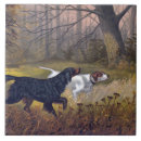 Suche nach gordon fliesen Hund