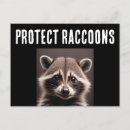 Suche nach raccoon postkarten Rennradliebhaber
