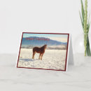 Suche nach belgier postkarten Entwurf