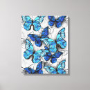Suche nach motts poster leinwandbilder Schmetterling