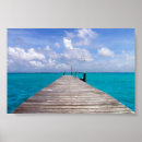 Suche nach tropische inseln poster Blume