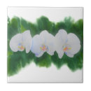 Suche nach vegetation fliesen Elegant