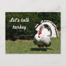 Suche nach truthahn postkarten Geflügel