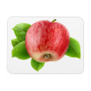 Suche nach rosa apfel magnete Früchte