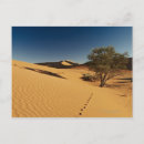 Suche nach namib postkarten Natur
