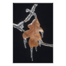 Suche nach eiszapfen poster Winter