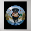 Suche nach geflügel poster Tiere