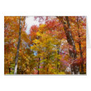 Suche nach orangenbaum karten Herbst