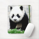 Suche nach niedliches baby mousepads Wildtiere