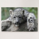 Suche nach leoparden puzzle Bunt