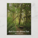 Suche nach nordstern postkarten Washington