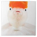 Suche nach voll fliesen Orange