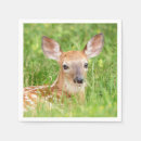 Suche nach kitz Wild