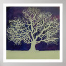 Suche nach evergreen poster Tree