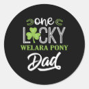 Suche nach dressur aufkleber Pony