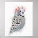 Suche nach budgie poster Kumpel