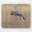 Suche nach im flug mousepads Natur