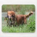 Suche nach jagd mousepads Retriever