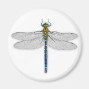 Suche nach dragonfly magnete Foto