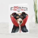 Suche nach italienischer windhund karten Haustiere