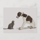 Suche nach beherrschung poster Natur