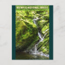 Suche nach olympische halbinsel poster Wald