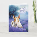 Suche nach bull terrier karten Hunde