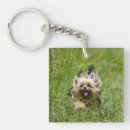 Suche nach yorkshire terrier schlüsselanhänger Niedlich