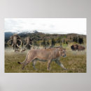 Suche nach mammut poster Prähistorische tiere