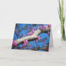 Suche nach frühling karten Baum