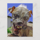 Suche nach hässliches tier postkarten Tiere