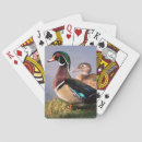 Suche nach ente spielkarten Vogel