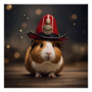 Suche nach meerschweinchen poster Nagetier