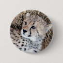 Suche nach geparden buttons Leopard