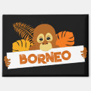 Suche nach orang utans magnete Borneo