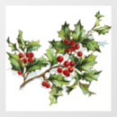 Suche nach stechpalmenbeere Beeren