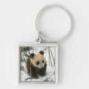 Suche nach panda schlüsselanhänger Asien