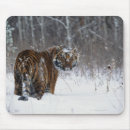 Suche nach der tigris mousepads Orange