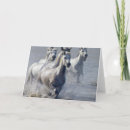 Suche nach mit pferdebild karten Pferdeliebhaber