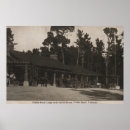 Suche nach tannen poster Foto