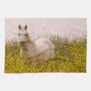 Suche nach weiße pferde geschirr tücher Landschaften